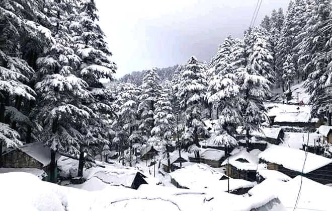 Fresh snow in Khajjiar, Dalhousie