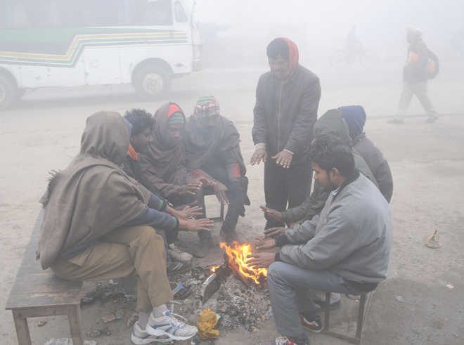 Cold wave Punjab-Haryana