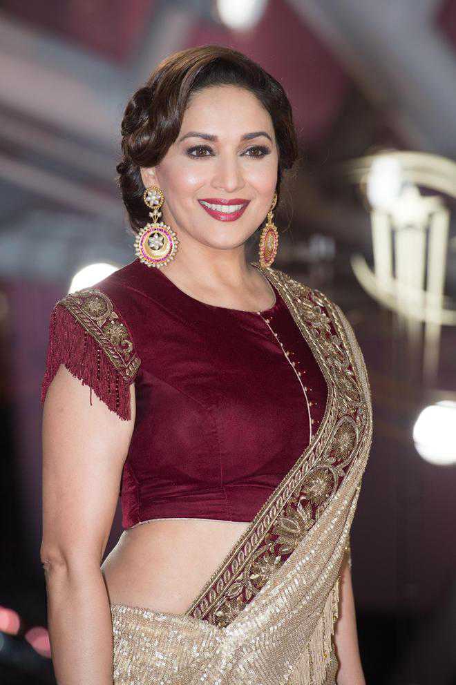 There''s no substitute to hard work: Madhuri Dixit