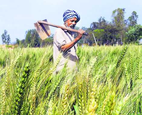 Punjab loan waiver to farmhands likely