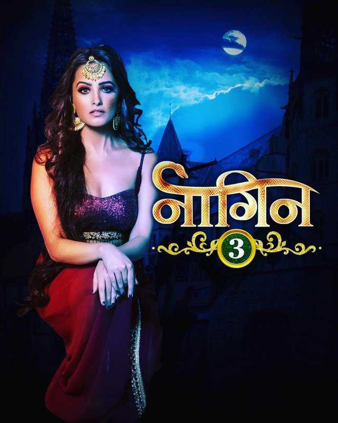 Naagin 3 to go off air?