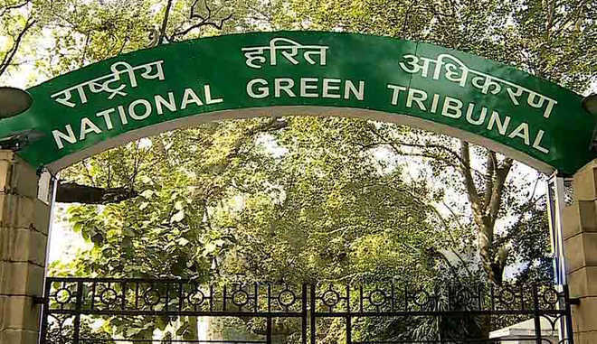 NGT directs action against builder for flouting norms