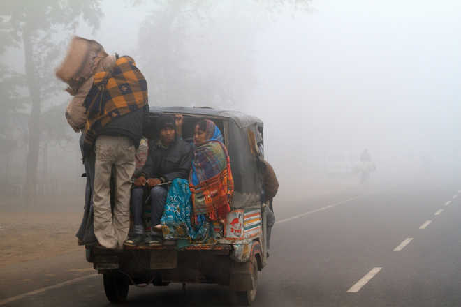 Cold weather conditions continue in Punjab, Haryana