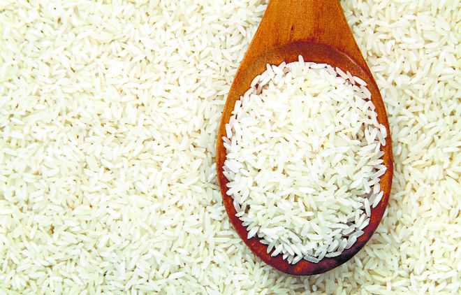 3 salt-tolerant rice types released