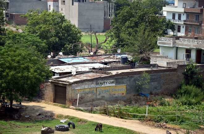 Remove encroachments in 5 months: High Court
