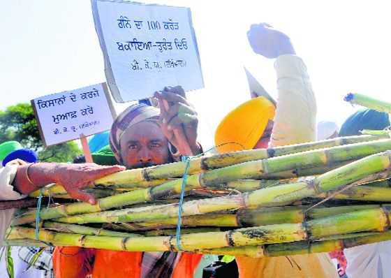 Sugarcane growers gear up for another round of protests