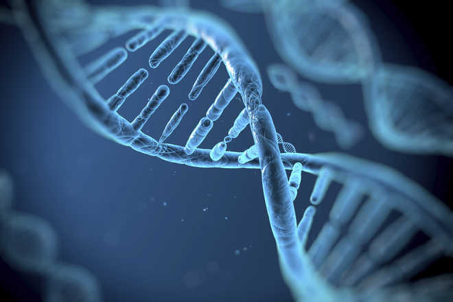 ''Gene study provides hope for infertile men''