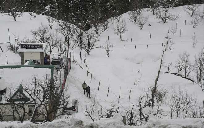 Intense cold wave in Himachal, more snow likely