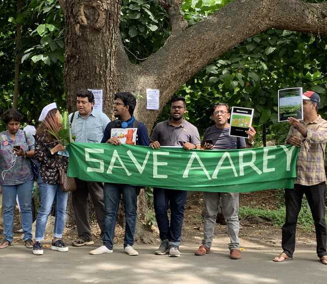 HC refuses stay on cutting of trees in Aarey Colony; 29 protesters court arrest