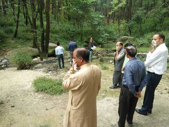 Epidemic threat at Vrindavan forest - The Tribune