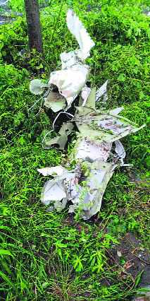 Chandigarh girl dies in T’gana plane crash