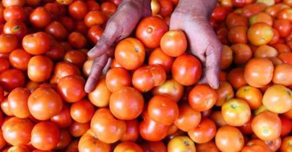 Now, tomato price soars to Rs 80/kg in Delhi