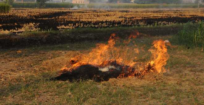 Karnal tops in defying stubble burning ban