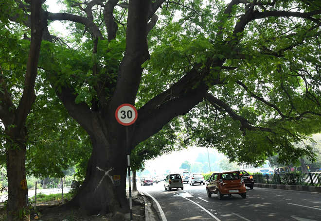 Green on mind, Admn eyes Vietnam help to replant trees