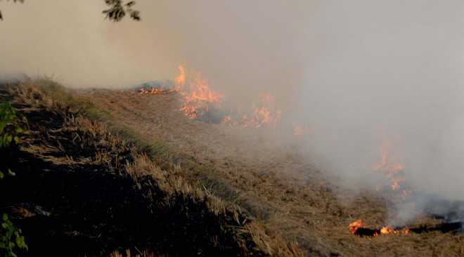 Experts point to dangers of burning crop residue