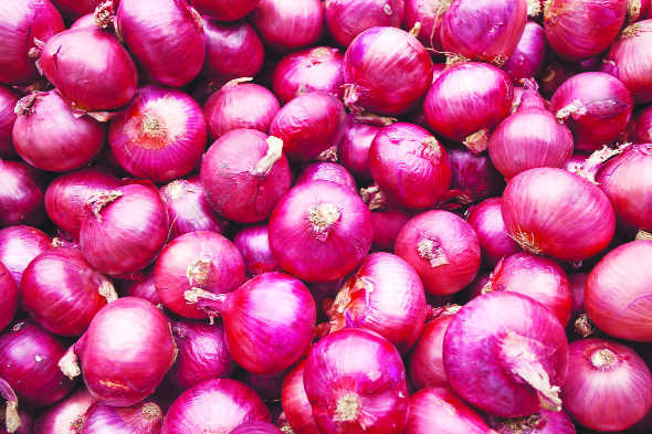 Fight over onion turns ugly in Uttar Pradesh, 5 women hospitalised