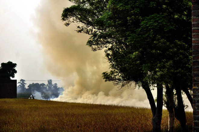After Majha, spike in farm fires in Malwa belt