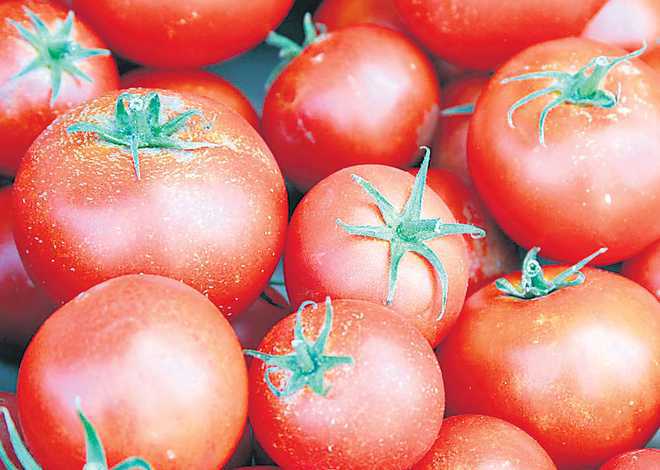 Tomato selling at Rs 80 a kilogram in Delhi