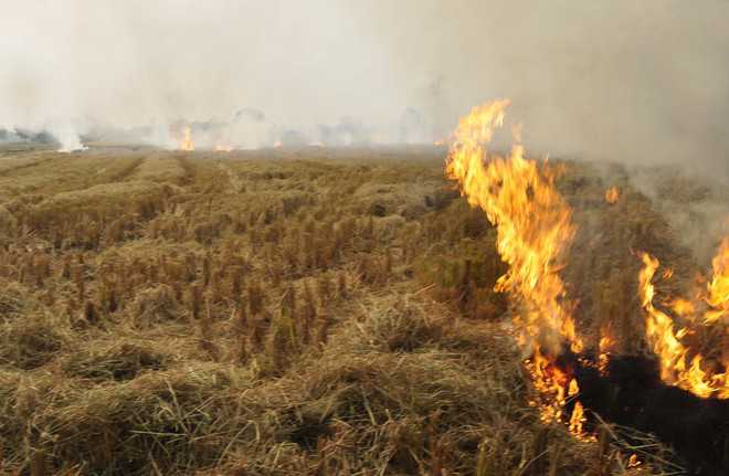8,000 nodal officers to keep eye on stubble fires in state