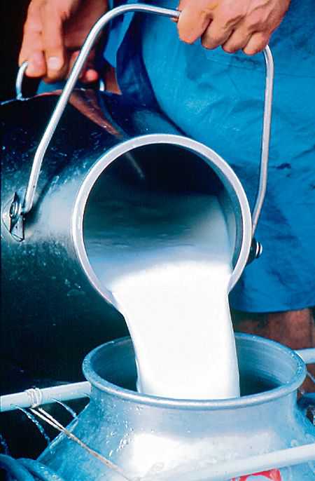 FSSAI junks reports, says milk safe