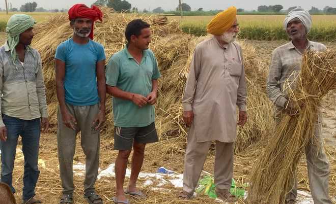 Agricultural labourers feel neglected