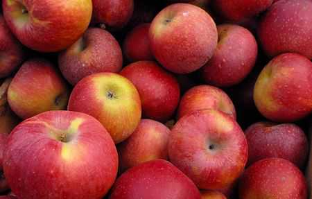 Apple production to fall below target
