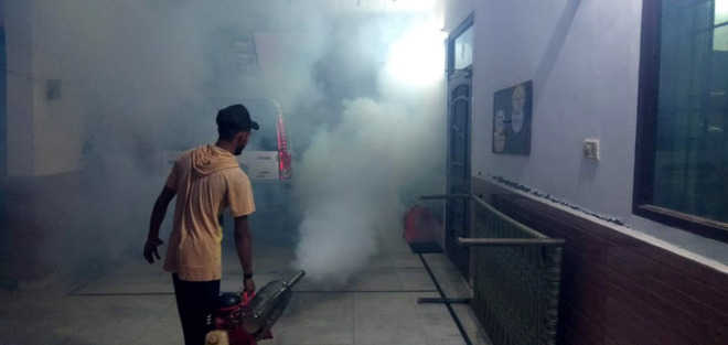 Dengue larvae: 59 challans issued in Muktsar dist