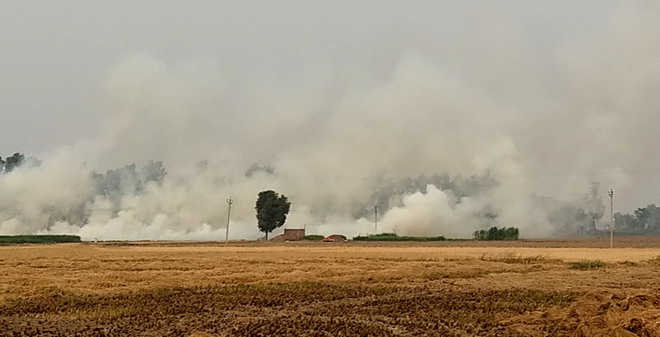 Stubble burning rampant in villages near Sultanpur Lodhi