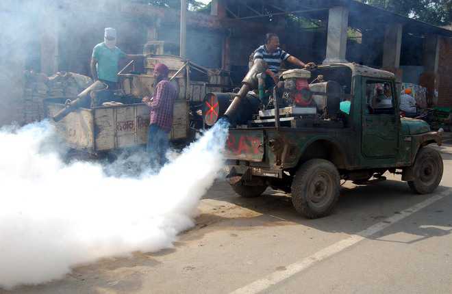 MC ups fogging  after rise in dengue cases