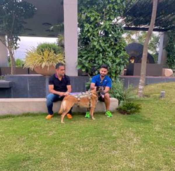 MS Dhoni and Rishabh Pant pose with a dog, call it ‘good vibes’