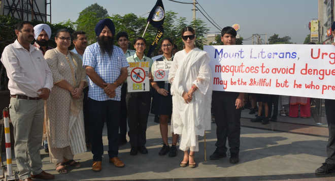 Students sensitise people to  dengue