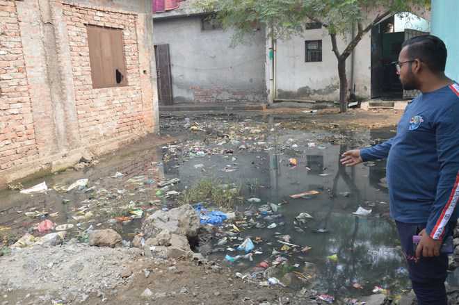 Dengue scare in Ludhiana, 10-year-old girl dies