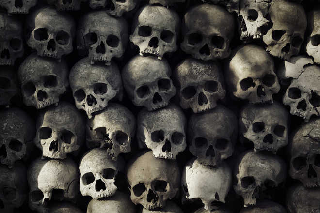 Over 40 skulls, dozens of bones, fetus found in den of Mexico cartel suspects