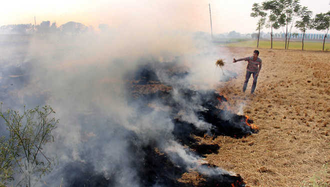 No let-up in farm fires, number reaches 3K a day