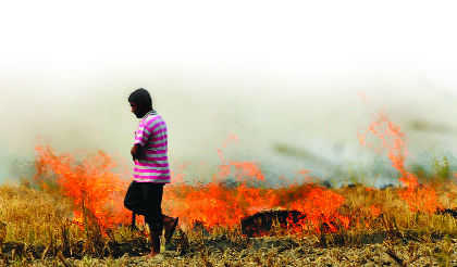 State records over 15,000 farm fires, Pathankot an exception
