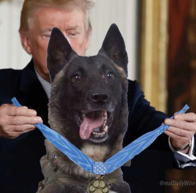 Trump tweets fake photo of dog injured in al-Baghdadi raid, evokes howls of laughter