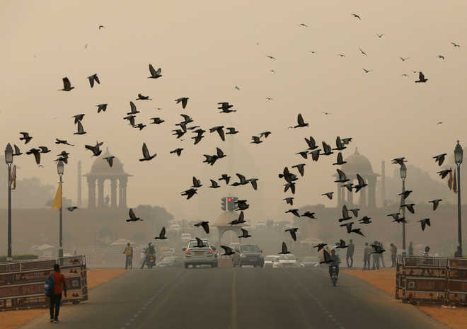 Winds of change: Light breeze next week could help dispel Delhi smog, says Skymet