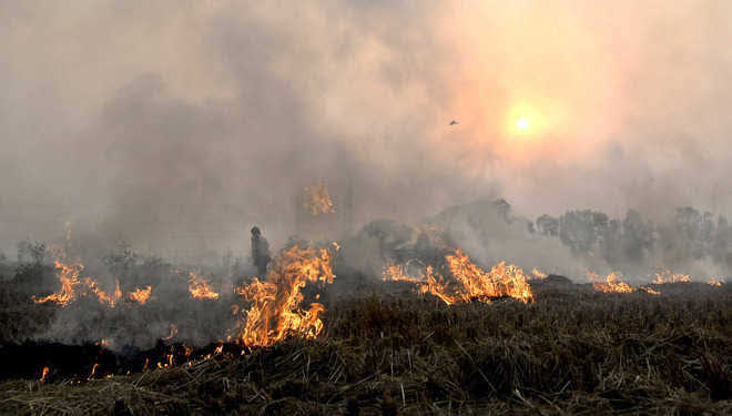 Farm fires lead to dip in visibility