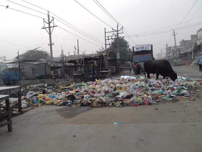 Faridabad stinks as garbage piles up