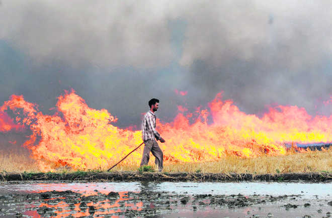 Facing heat over farm fires, govt says 3,000 taken to task