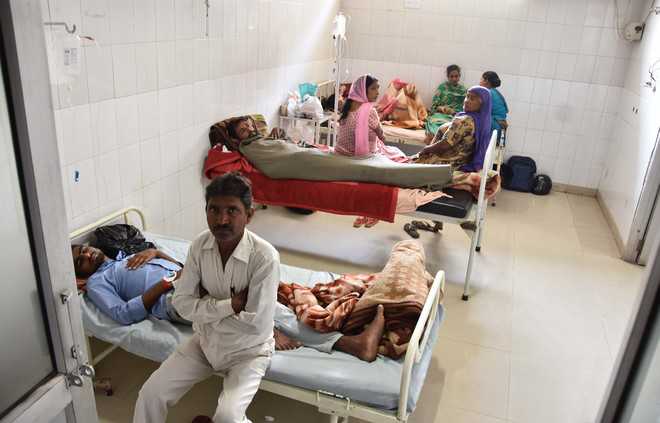 Dengue wards bursting at seams in city