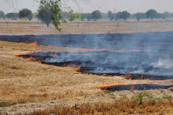 98 booked for farm fires in one day, farmers fume