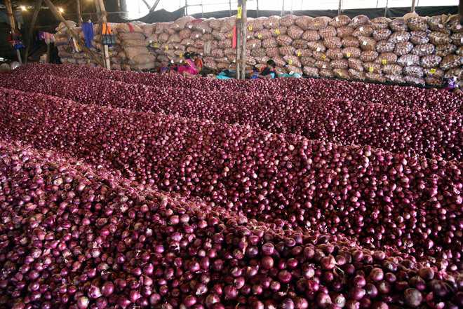 Check onion hoarding to rein in its price