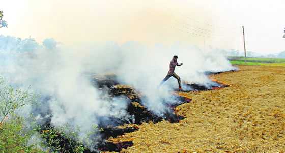 Stubble burning: Arrests of farmers flayed
