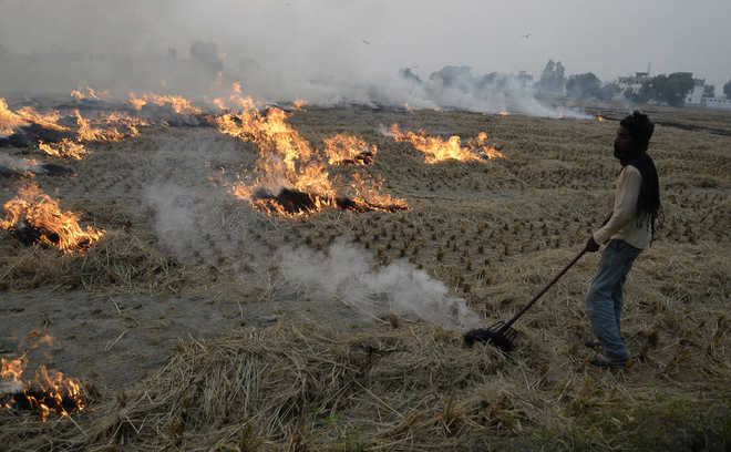Punjab, Haryana gasp for breath as air quality deteriorates