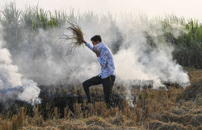 Hisar, Bhiwani see worst air; Haryana clocks 6K farm fires