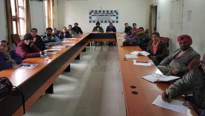 Youth trained in agri-business to act as consultants for farmers