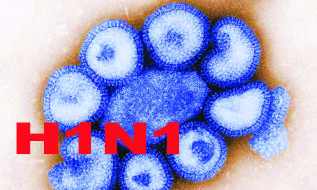 9 swine flu cases