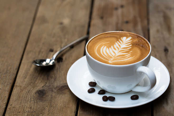 Microbes help make coffee tastier