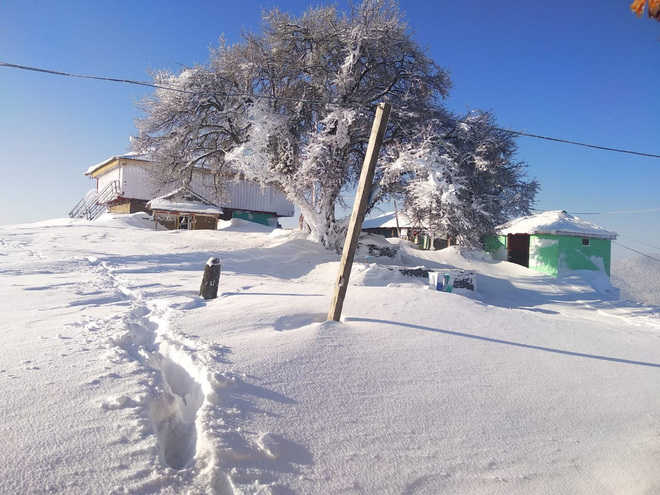 Kullu town gets season’s first snow